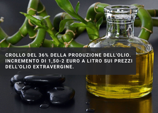 crollo olio.png
